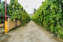 Zo Rooms Kasba Kolkata Ngoại thất bức ảnh
